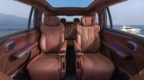 燃擎看車展 要給問界m9和理想l9上強(qiáng)度,昊鉑hl實(shí)力夠不夠